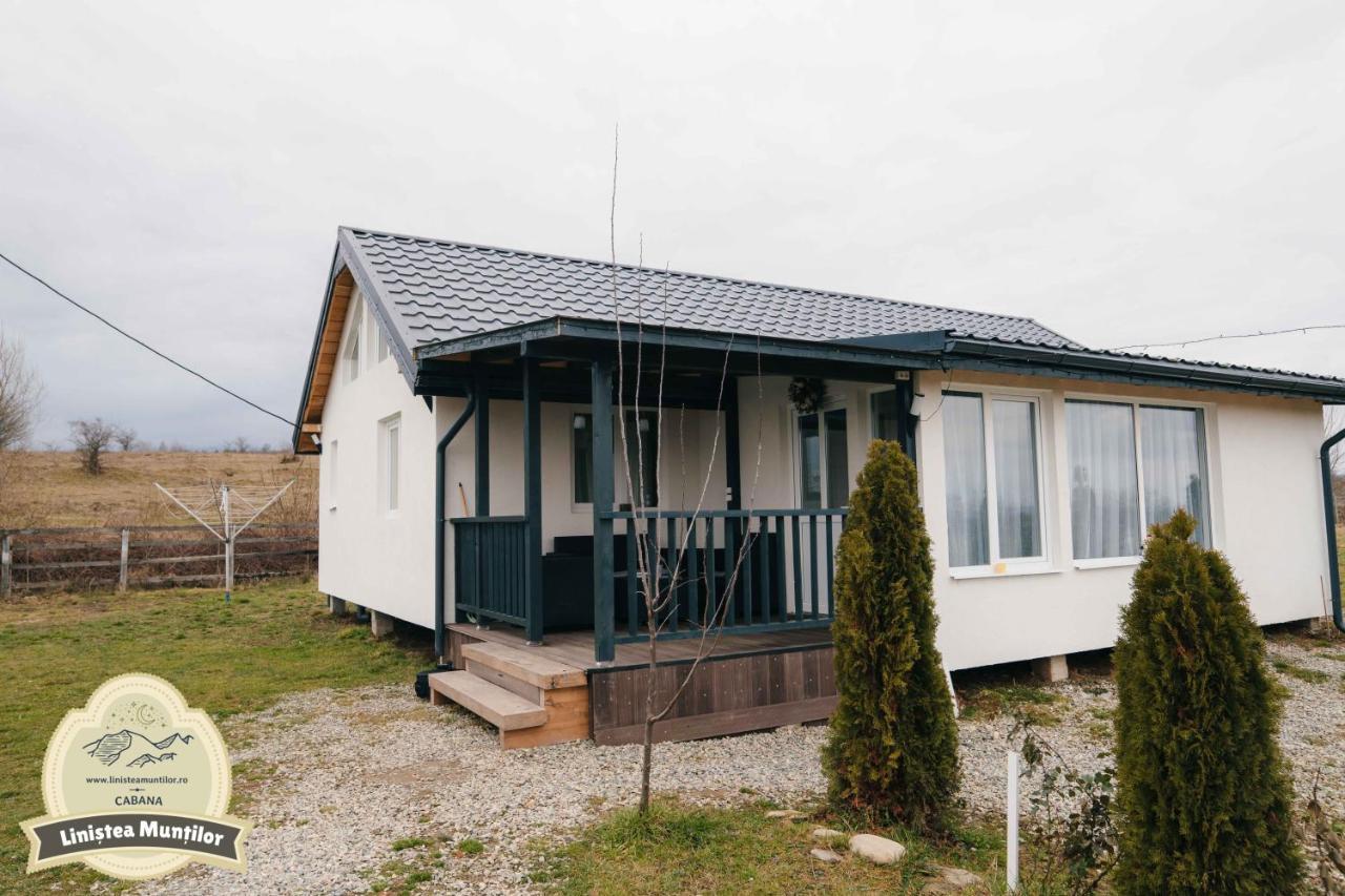 Linistea Muntilor Chalet 波卢巴库苏斯 外观 照片