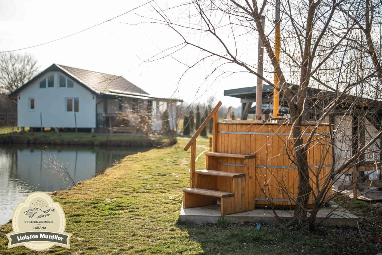 Linistea Muntilor Chalet 波卢巴库苏斯 外观 照片