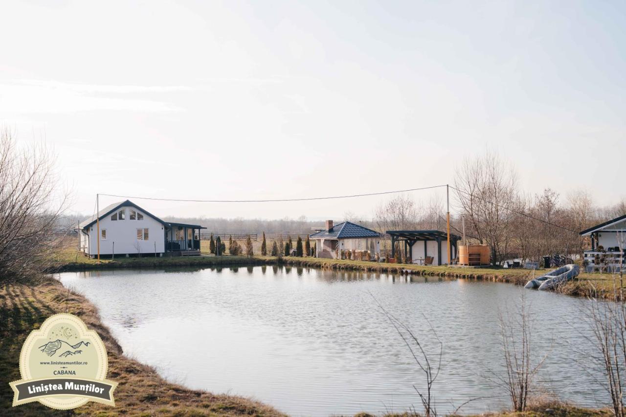 Linistea Muntilor Chalet 波卢巴库苏斯 外观 照片