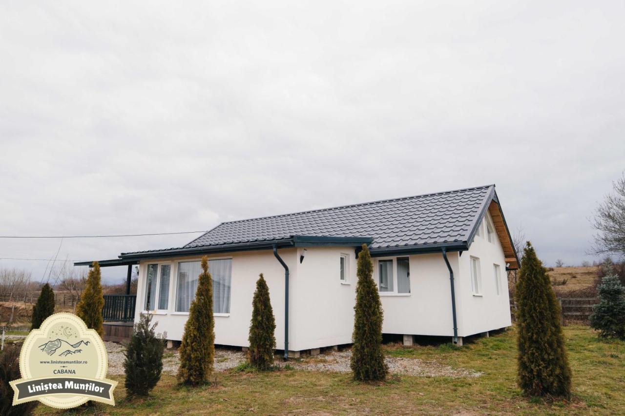 Linistea Muntilor Chalet 波卢巴库苏斯 外观 照片