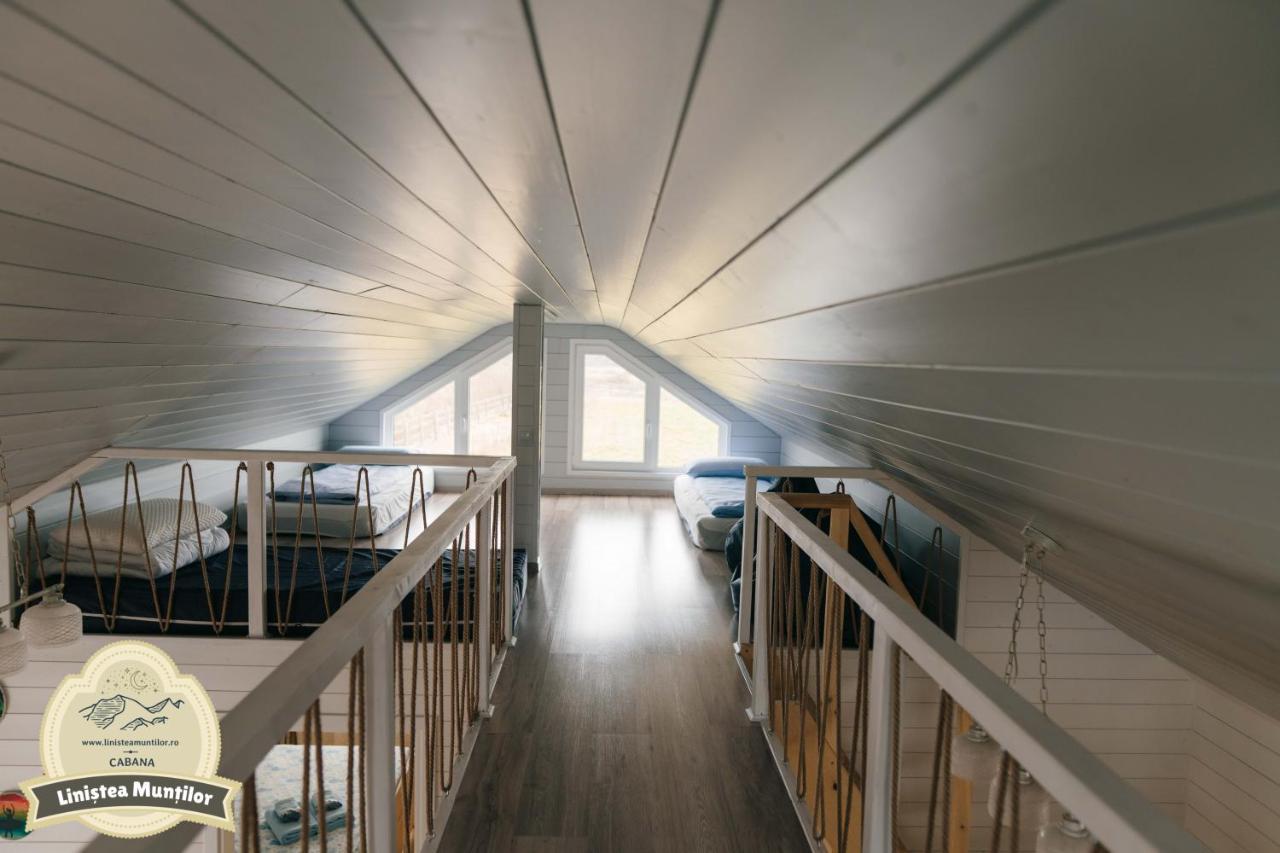 Linistea Muntilor Chalet 波卢巴库苏斯 外观 照片