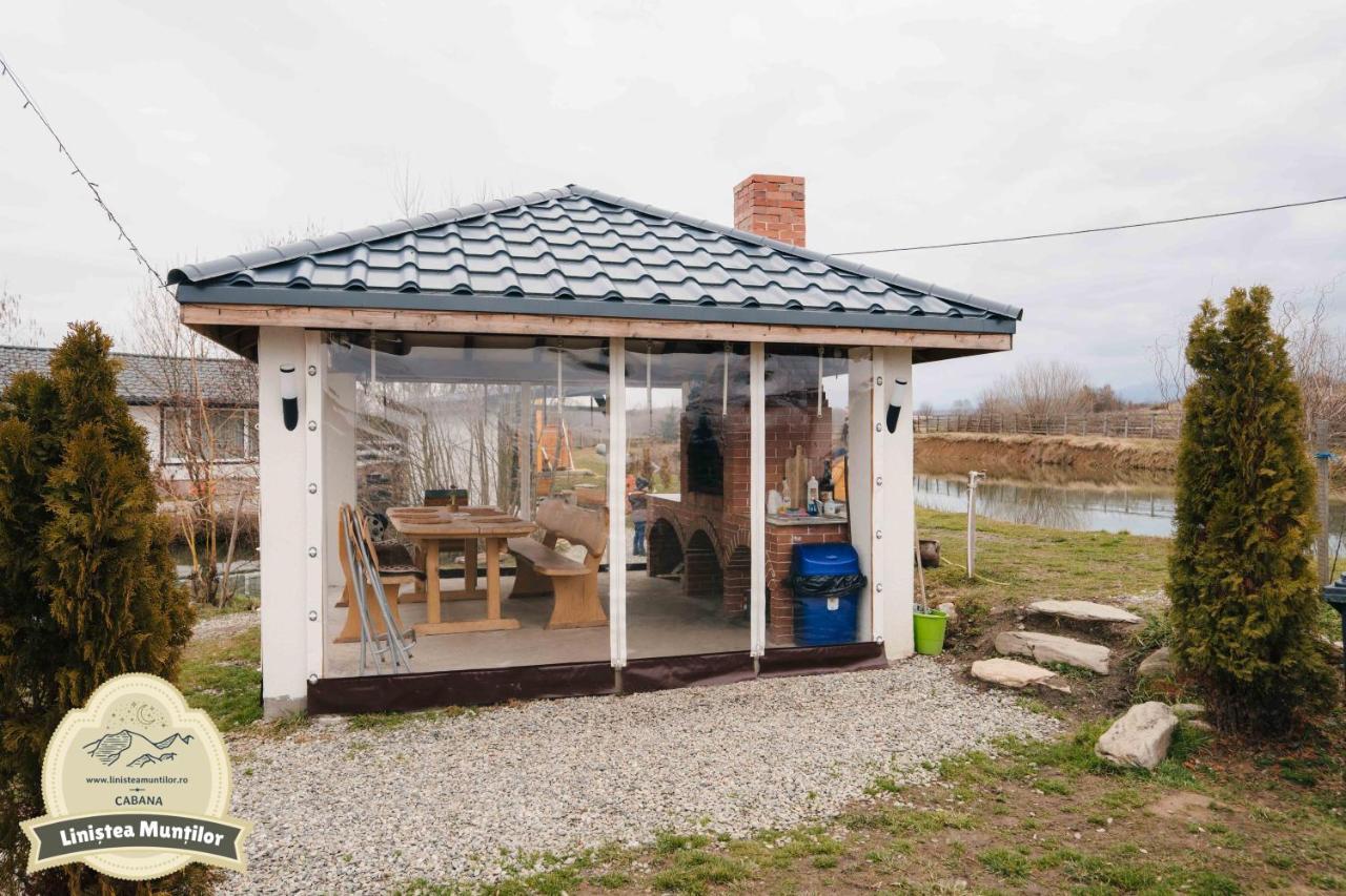 Linistea Muntilor Chalet 波卢巴库苏斯 外观 照片
