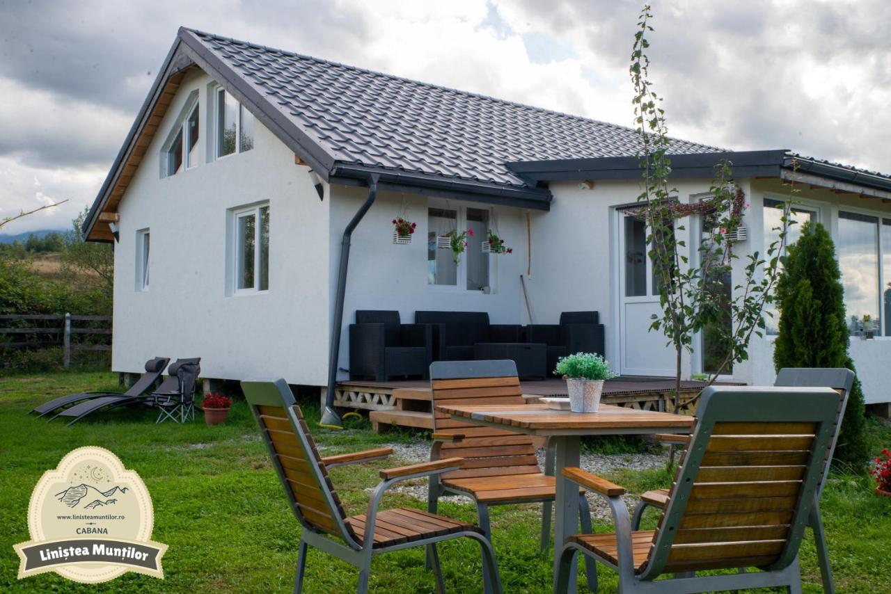 Linistea Muntilor Chalet 波卢巴库苏斯 外观 照片